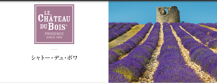 LE CHATEAU DU BOIS（シャトー・デュ・ボワ）