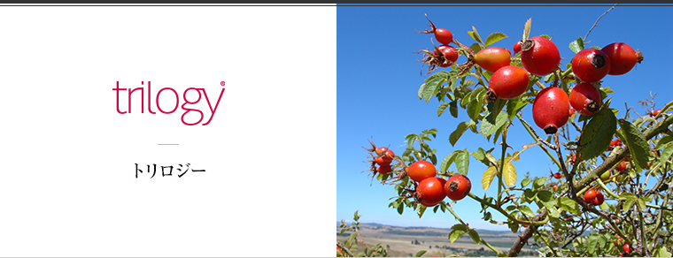 Trilogy （トリロジー）
